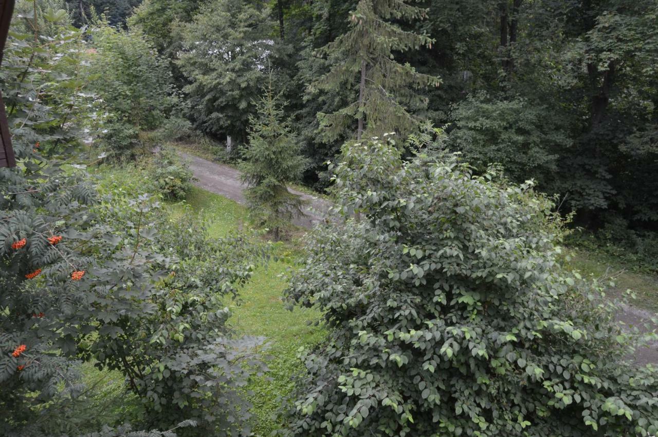 Chata Adrian Slovak Paradise Spišské Tomášovce Eksteriør bilde